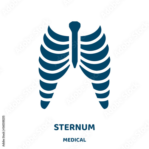 sternum vector icon from medical collection. medical filled flat symbol for mobile concept and web design. Black body glyph icon. Isolated sign, logo illustration. Vector graphics.