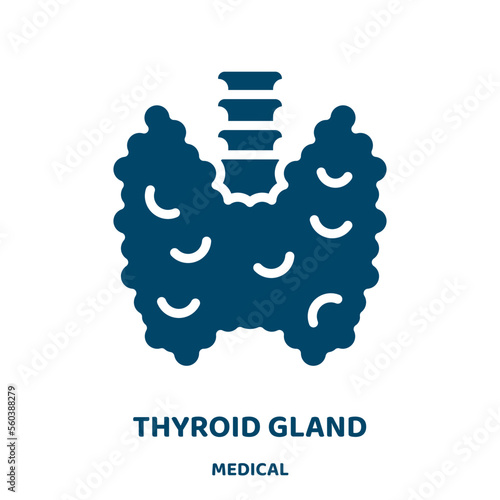 thyroid gland vector icon from medical collection. gland filled flat symbol for mobile concept and web design. Black thyroid glyph icon. Isolated sign, logo illustration. Vector graphics.