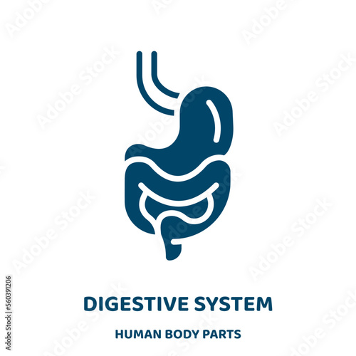 digestive system vector icon from human body parts collection. medical filled flat symbol for mobile concept and web design. Black digestive glyph icon. Isolated sign, logo illustration. Vector .