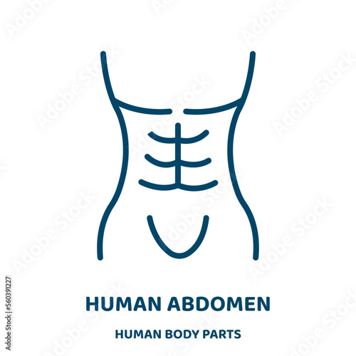 human abdomen vector icon from human body parts collection. abdomen filled flat symbol for mobile concept and web design. Black human glyph icon. Isolated sign, logo illustration. Vector graphics.