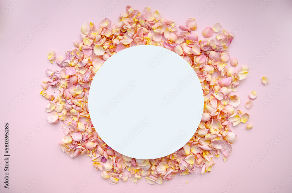 White round podium, rose petals and buds layout on a pink background.Valentines Day, love concept, natural cosmetic, floristic background. Copy space. Card design. Ad space. White round podium, rose petals and buds layout on a pink background.Valentines Day, love concept, natural cosmetic, floristic background. Copy space. Card design. Ad space.
