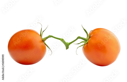 Two connected tomatoe vegetables isolated