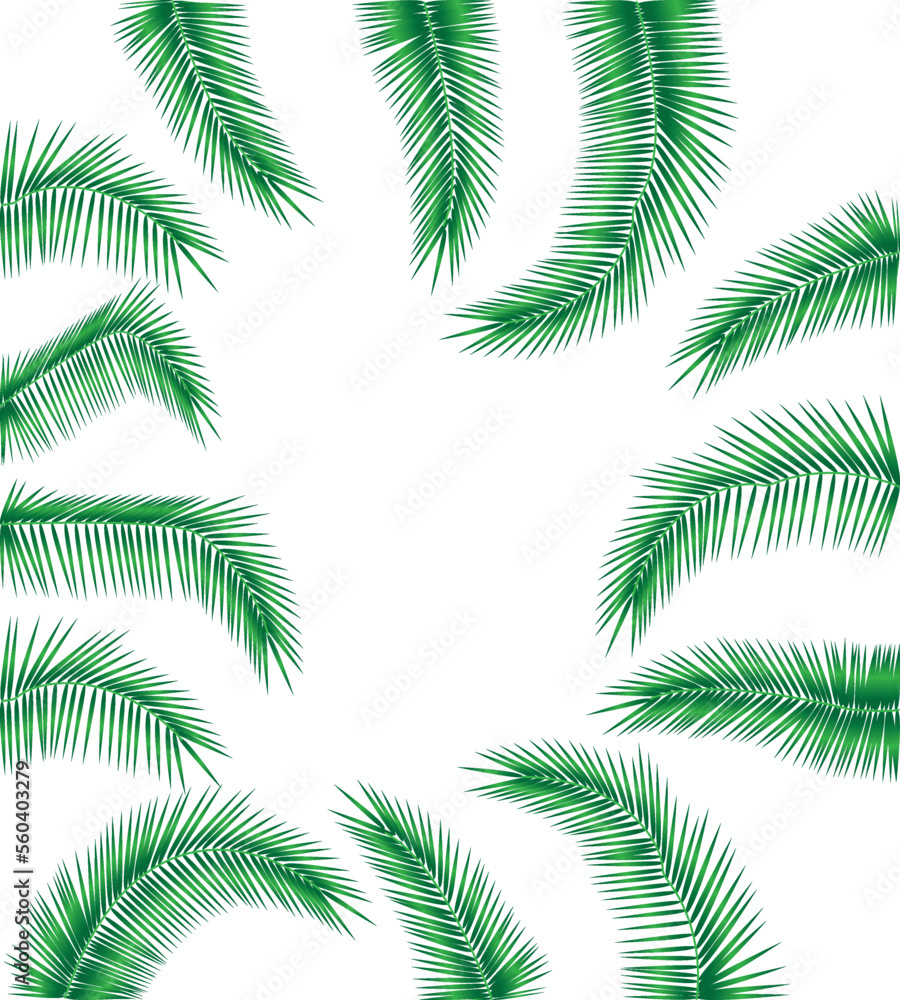 Palm branches pattern for design. Plant pattern design. Vector background illustration of palm leaf EPS10

