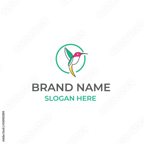 hummingbird colibri bird logo icon line abstract outline monoline vector illustration