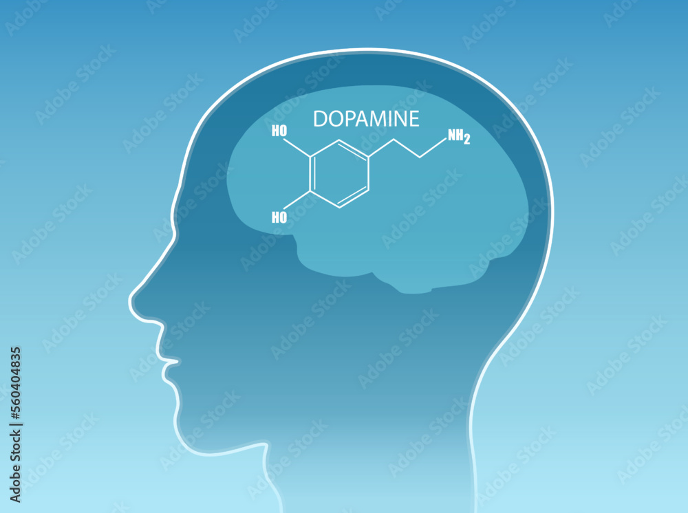 Vector of a chemical formula of the hormone dopamine inside human head Vector of a chemical formula of the hormone dopamine inside human head