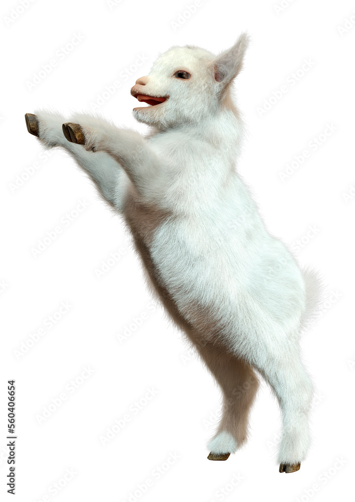 Naklejka premium 3D Rendering Baby Goat on White