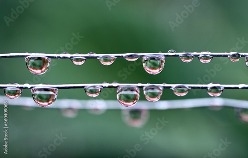 the water drops on the wire metal