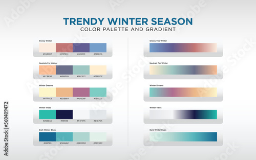 color palette and gradient for winter