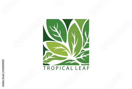Tropical leaves logo template. Green Leaves Style Ecology and Environment. Vector illustration.