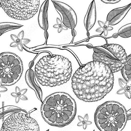 Sketched yuzu background with decorative fruit, leaves, branches, and flowers in engraving style. Hand-drawn citrus plant seamless pattern. Asian citron botanical design for print.