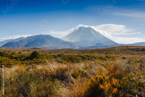 Ngoruhoe volcano. New Zealand. Tongariro National Pak