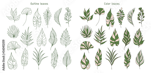 Set of leaves. Tropical plants. Herbarium. Perfect for herbal products designs.