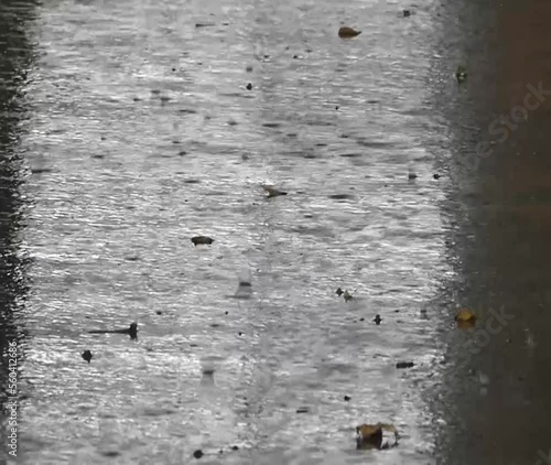 Regen. Schwere Regentropfen fallen auf den Asphalt der Straßen der Stadt.