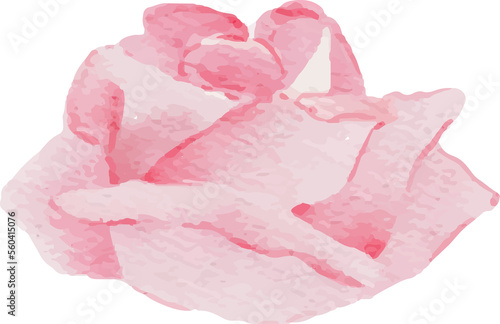 watercolor blooming pink rose branch flower bouquet elements