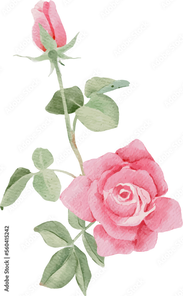 Naklejka premium watercolor pink rose flower bouquet for valentines day