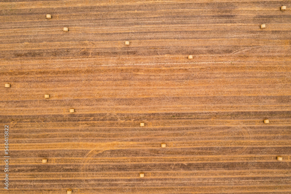 Round bales of straw in a brown field seen from a bird's eye view directly from above