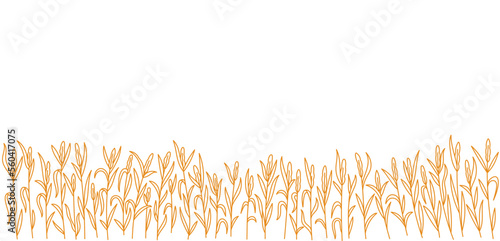 Wheat field. Horizontal banner. Spikelets of wheat. Vector line. Editable outline stroke thickness.