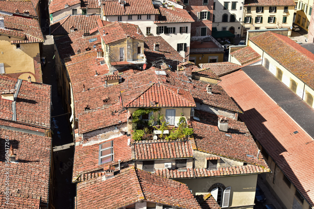 Naklejka premium Lukka ogród na dachu stary pejzaż miejski na dachu Toskania Włochy
