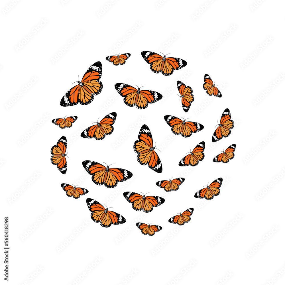 Tropical butterfly pattern in circle shape on white background. Monarch butterflies butterflies in the shape of a circle. flat vector illustration Tropical butterfly pattern in circle shape on white background. Monarch butterflies butterflies in the shape of a circle. flat vector illustration