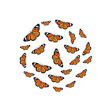 Tropical butterfly pattern in circle shape on white background. Monarch butterflies butterflies in the shape of a circle. flat vector illustration