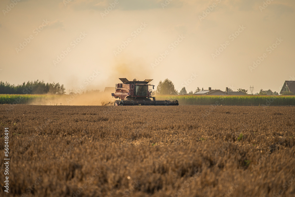 Fototapeta premium grain harvester, wheat harvest, wheat harvester at work, harvester in the field, harvester working at harvest time