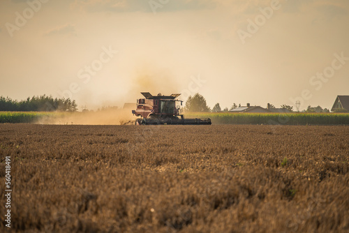 grain harvester, wheat harvest, wheat harvester at work, harvester in the field, harvester working at harvest time © Follow the Sun