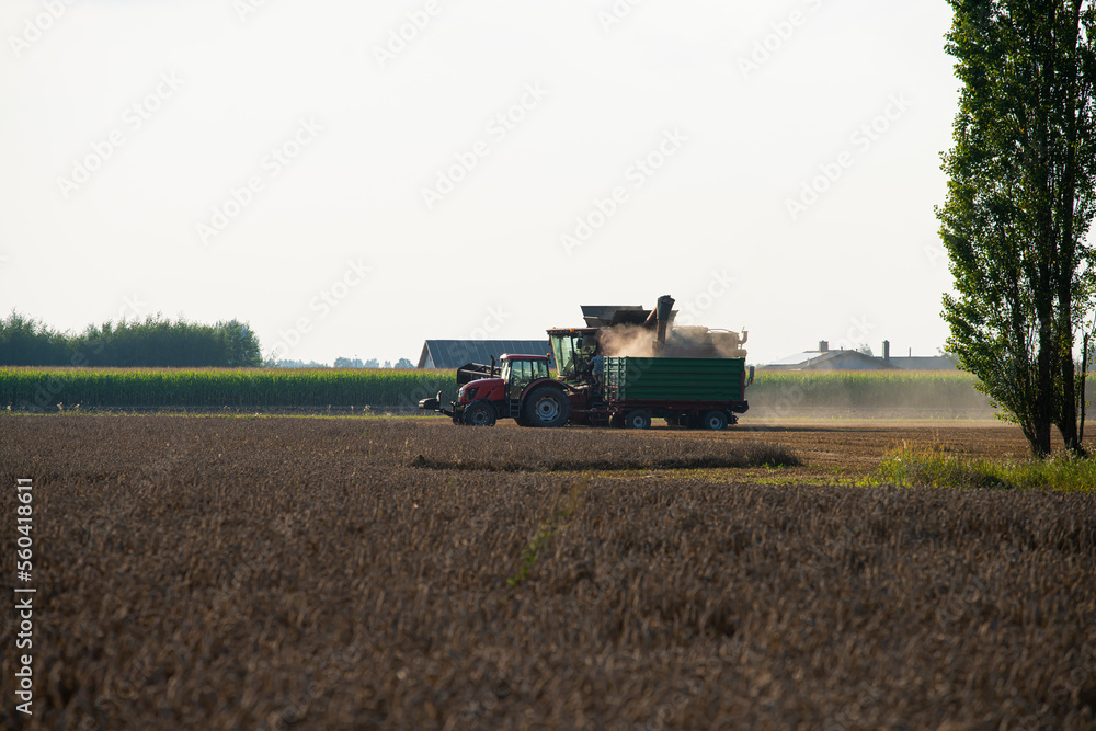 Fototapeta premium grain harvester, wheat harvest, wheat harvester at work, harvester in the field, harvester working at harvest time