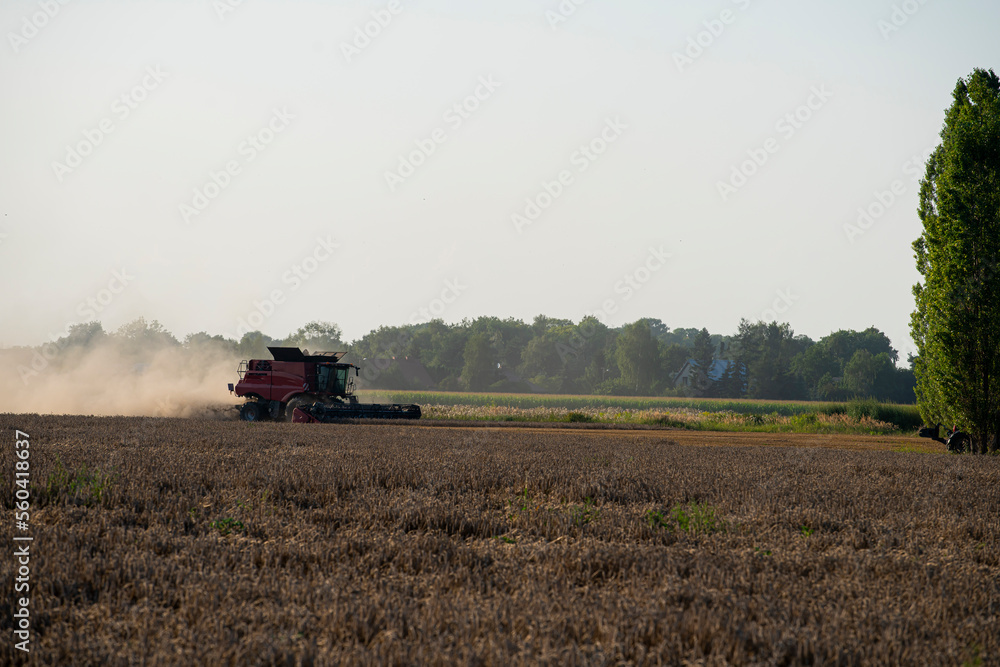 Fototapeta premium grain harvester, wheat harvest, wheat harvester at work, harvester in the field, harvester working at harvest time