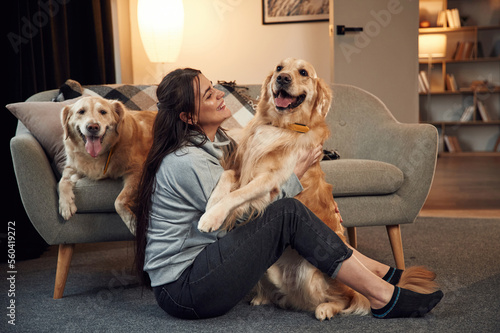 Embracing and having fun. Woman is with two golden retriever dogs at home