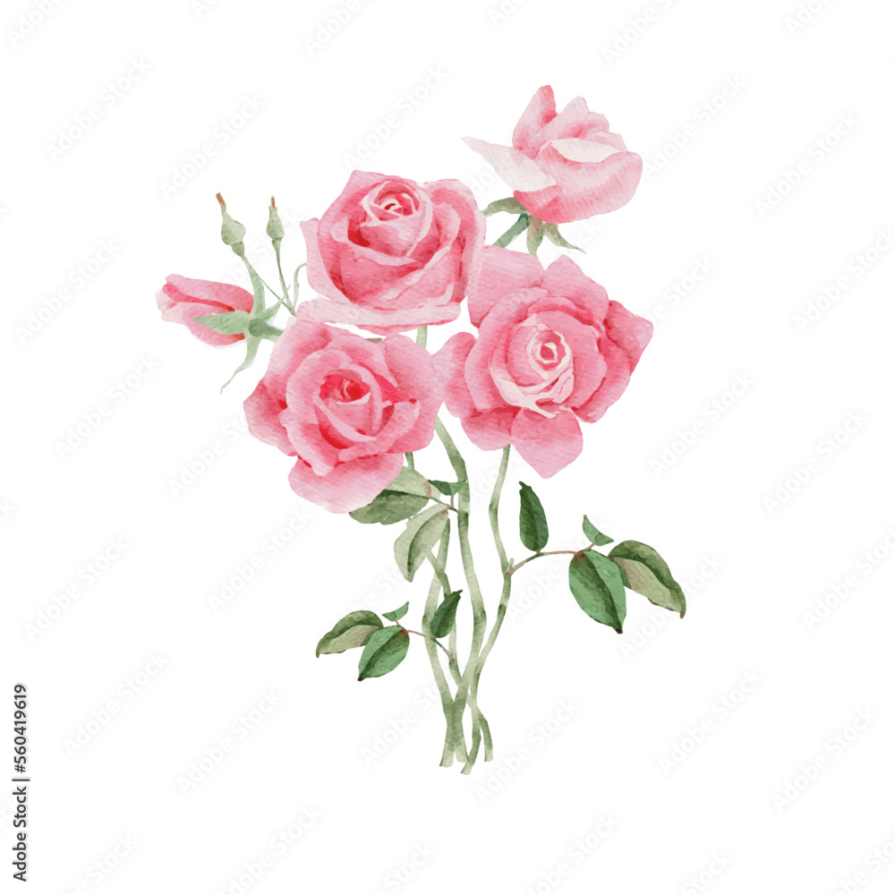 watercolor pink rose flower bouquet for valentines day