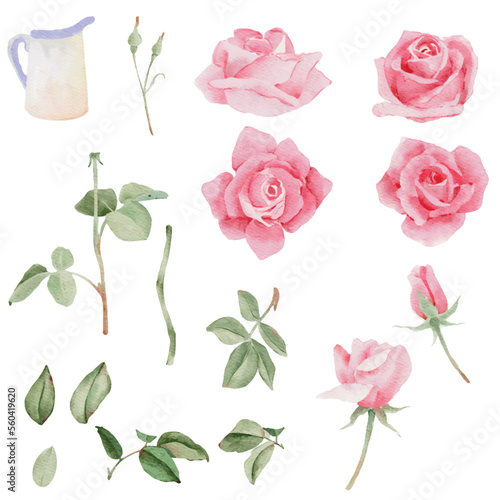 watercolor blooming pink rose branch flower bouquet elements