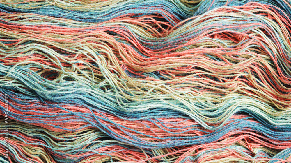 Threads from natural organic sheep wool. Unwound skein of multicolor rainbow knitting yarn.