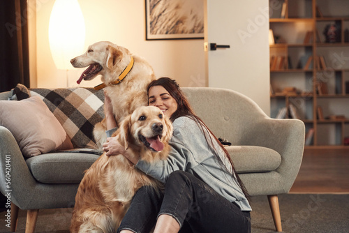 Photography Modern interior. Woman is with two golden retriever dogs at home