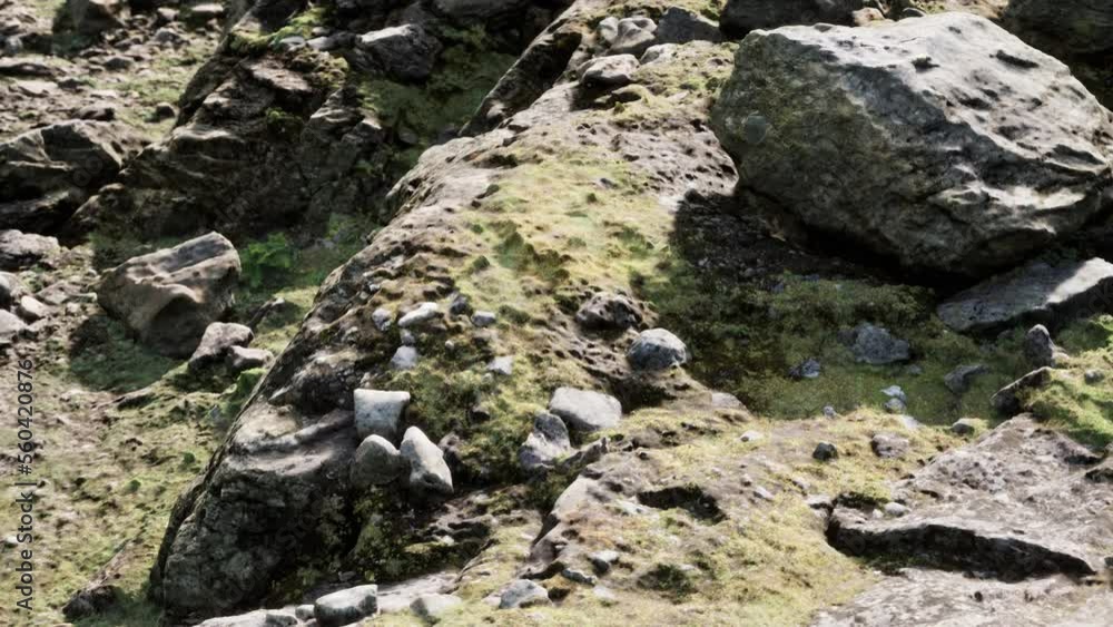 close up of rocky stones formation close up of rocky stones formation