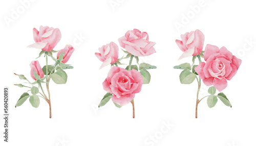 watercolor pink rose flower bouquet for valentines day