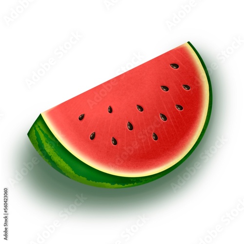 Illustration of summer watermelon slice. Juicy fruits.