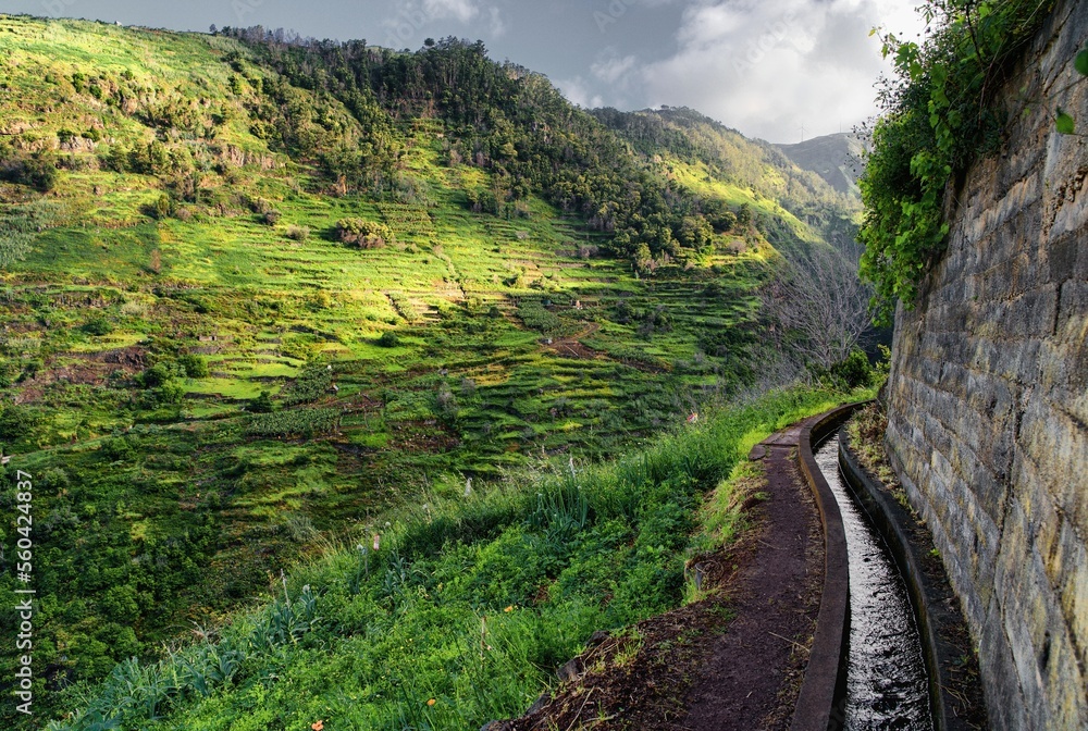 Levada do Moinho. Levada in Madeira, Portugal. Green valley. Irrigation canal lined with narrow path. Water canal. 