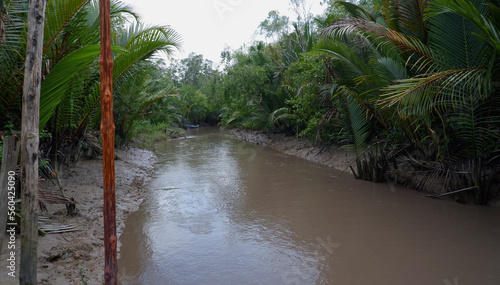 Canvas Print The river flows towards the sea, with a dense nypa forest in the background, Ind
