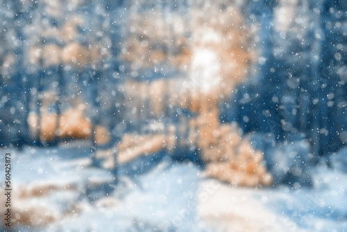  blurred winter forest