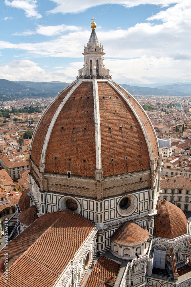 Obraz premium view of the cathedral