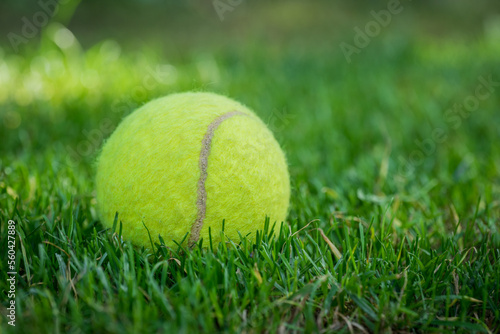 tennis ball on mowed grass © jaroslavkettner