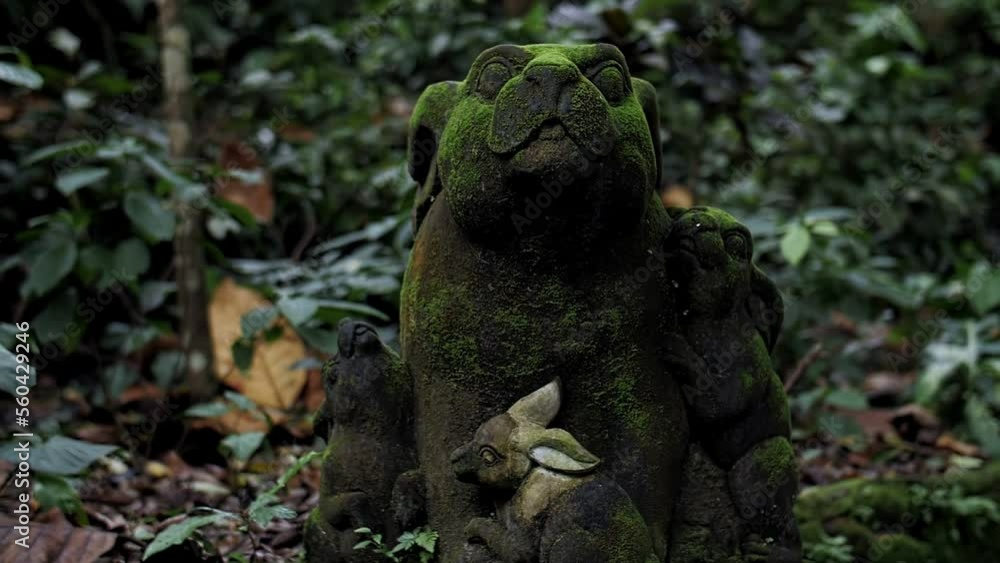 ancient statue in the rainforest in Bali ancient statue in the rainforest in Bali