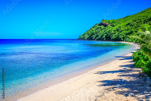 Tropical sandy beach at summer day in Fiji Islands  Pacific ocean