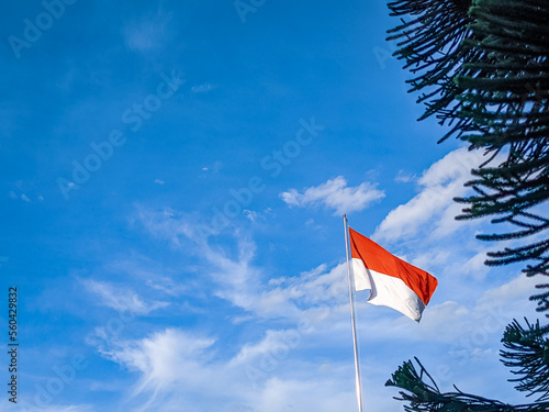 The Merah Putih Flag.view from below the Merah Putih Flag. Indonesian flag consists of red and white color symbolizing the color of blood and bones of its people. Copy space composition. photo