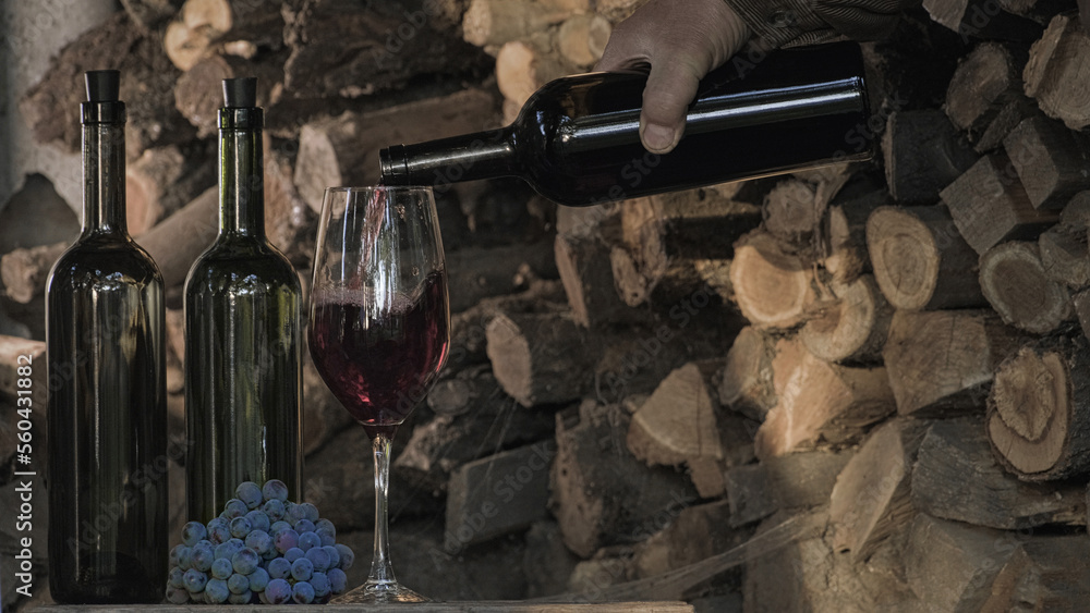 Tasting red wine from Isabella grapes at the winery. Sommelier pouring