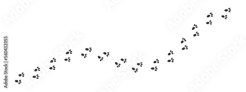 Bunny wet or mud pawprints. Hare feet steps. Rabbit paw silhouettes stamps. Trace of running or walking animal isolated on white background. Vector graphic illustration