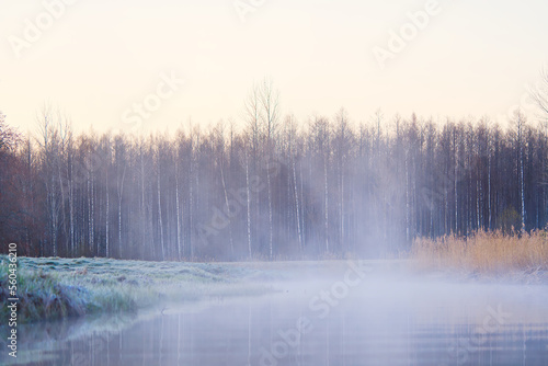 Nordic landscape at sunrise time. Early morning after a cold night, fog forms from the warm wetland in nature and the sun lights up and gives different colors. © Ilja