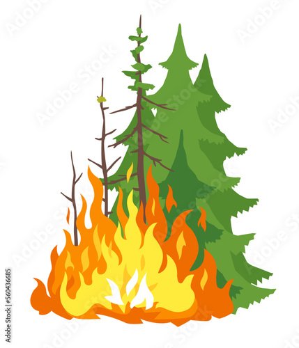 Burning forest spruces in fire flames, nature disaster concept illustration, poster danger, careful with fires in the woods, isolated
