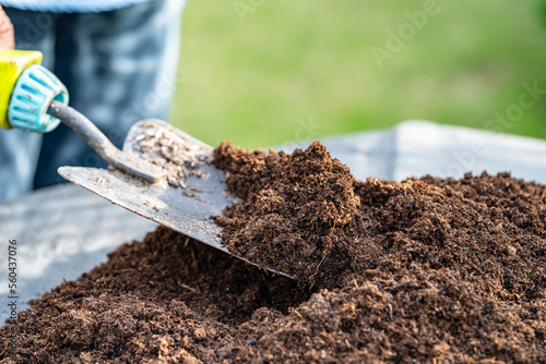 Hand holding peat moss organic matter improve soil for agriculture organic plant growing, ecology concept. photo