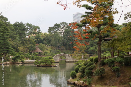 Shukkeien garden in Hiroshima, Japan photo